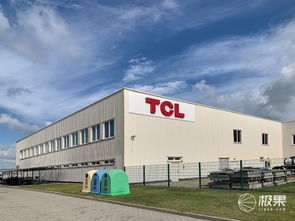 對(duì)話王成 TCL如何在2020年躋身歐洲前三，國內(nèi)貿(mào)易代理又扮演何種角色？